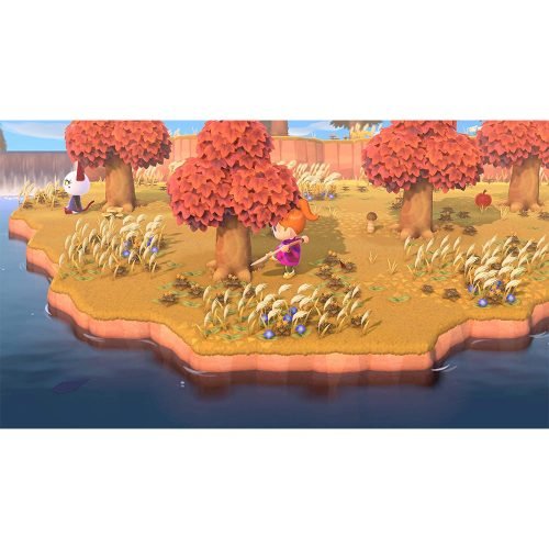 Animal Crossing: New Horizons – NS
