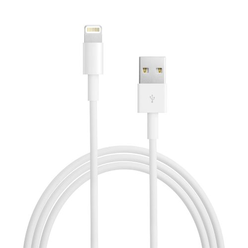 Apple USB-A to Lightning Cable