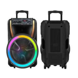Board-x Speaker Karaoke ES-13S-12 12 Inch, 1 Microphone