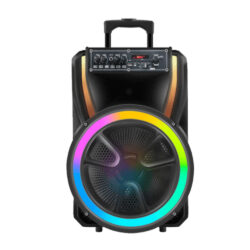 Board-x Speaker Karaoke ES-13S-12 12 Inch, 1 Microphone