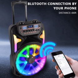 Board-x Speaker Karaoke YB1201Q 12 Inch, 1 Microphone Wireless