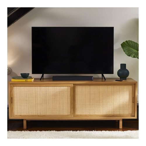 Bose TV Speaker