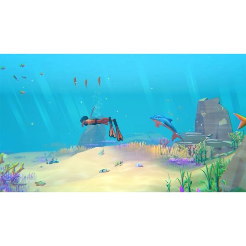 Dolphin Spirit – Ocean Mission