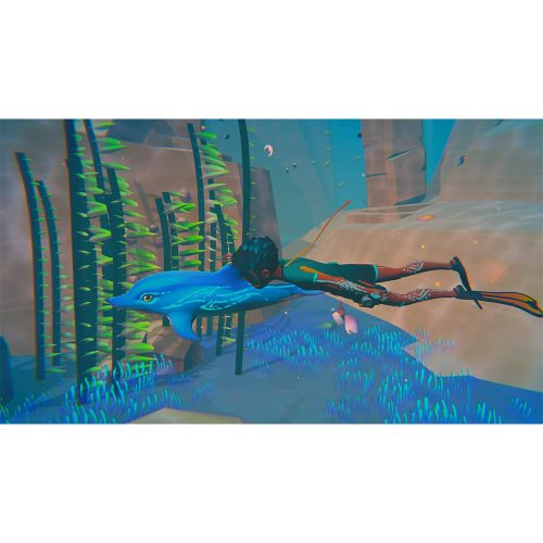 Dolphin Spirit – Ocean Mission