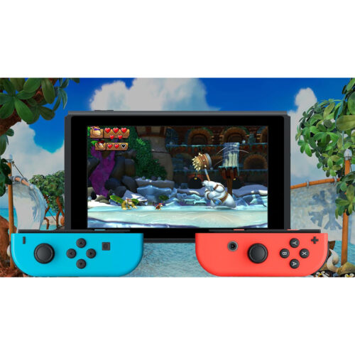 Donkey Kong Country: Tropical Freeze – NS