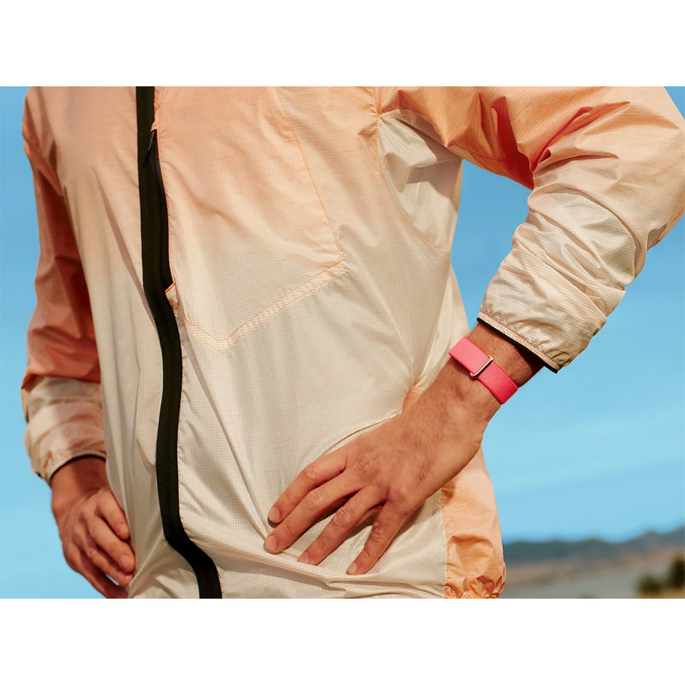Google Fitbit Air Google Fitbit Air