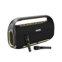 Hifuture MusicBox300