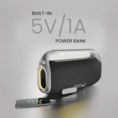 Hifuture MusicBox300
