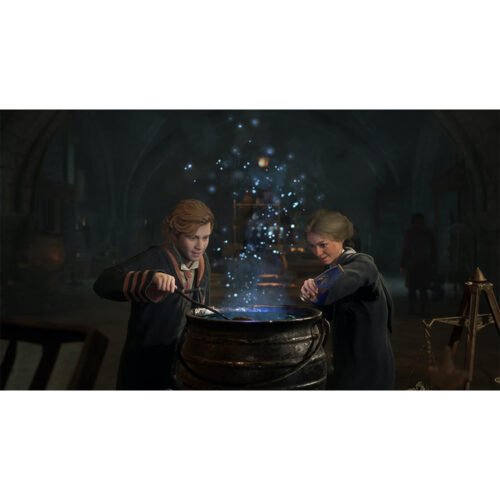 Hogwarts Legacy – NS