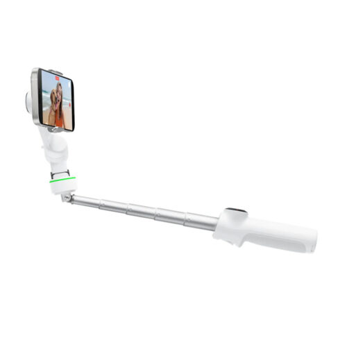 Insta360 Flow 2 Pro