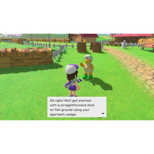Mario Golf: Super Rush – NS