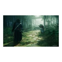 Rise of the Ronin