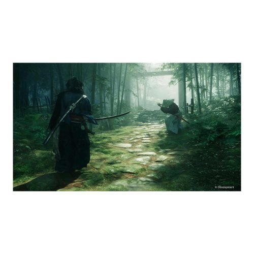 Rise of the Ronin