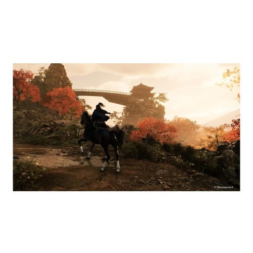 Rise of the Ronin
