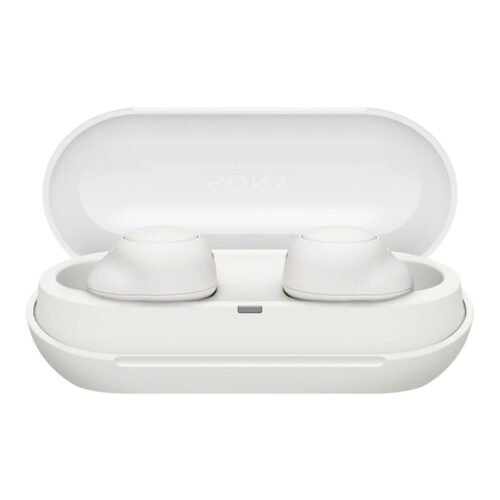 Sony WF-C500 Truly Wireless Earbuds