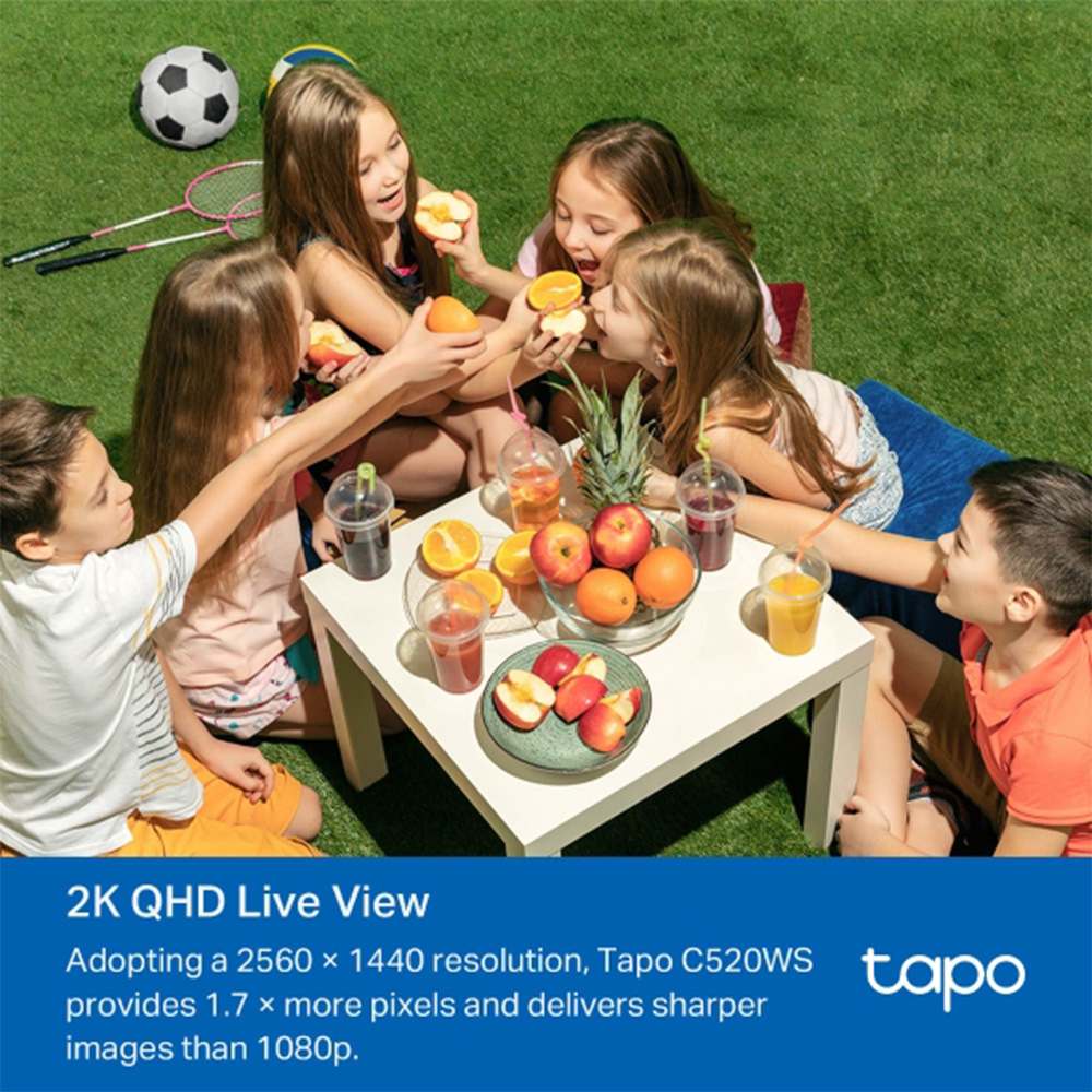 Tapo C520WS Outdoor Pan/Tilt Security Wi-Fi Camera Tapo C520WS Outdoor Pan/Tilt Security Wi-Fi Camera