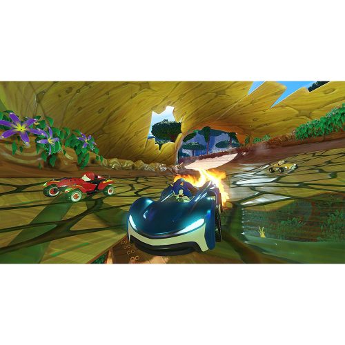 Team Sonic Racing – NS