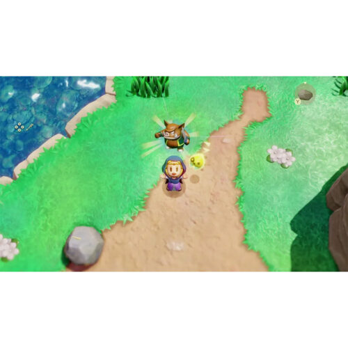 The Legend Of Zelda: Echoes Of Wisdom – NS