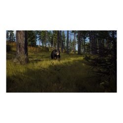 Way of the Hunter