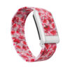 Whoop 5.0 Peak Superknit Band