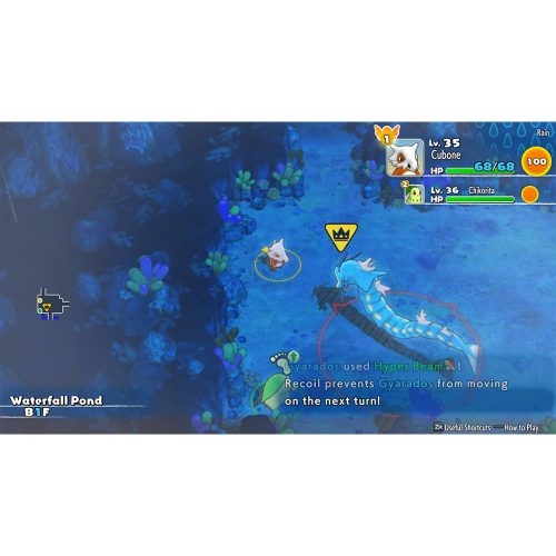 Pokemon Mystery Dungeon: Rescue Team DX – NS