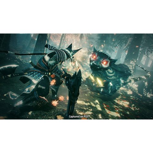 The Nioh Collection