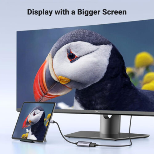 UGREEN USB-C Male to Diplay Port Female Braided convertor 8K