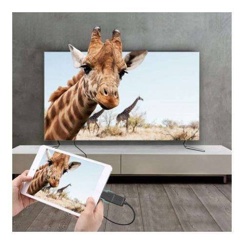 UGREEN 4K Mini Male to HDMI Female Adapter