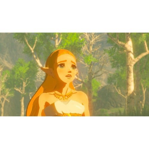The Legend of Zelda: Breath of the Wild – NS